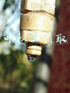 邮政包裹可以上门取件吗(今日起深圳罗湖辖区邮政快递企业停止入境邮件快件上门派送业务)