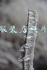 服装店照片