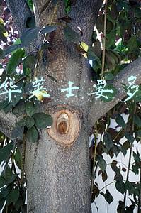 加盟华莱士要多少钱