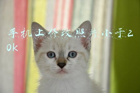 手机上修改照片小于20k