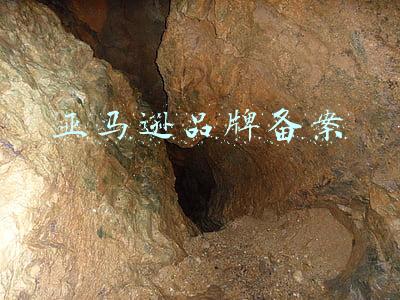 亚马逊品牌备案
