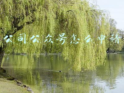 公司公众号怎么申请