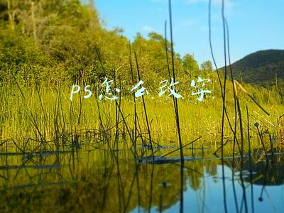 ps怎么改字