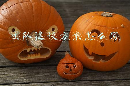 团队建设方案怎么写