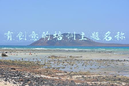 有创意的培训主题名称