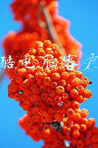 优酷电脑客户端