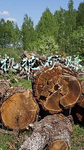 挂机挖矿赚钱