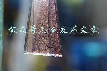 公众号怎么发布文章