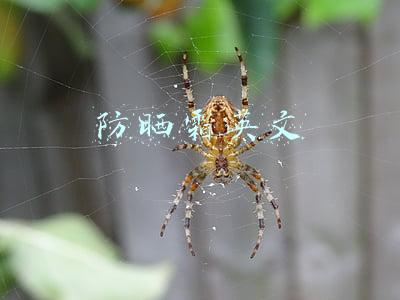 防晒霜英文