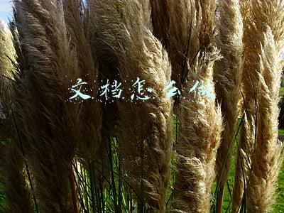 文档怎么做