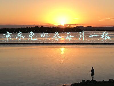京东免邮券每月一张