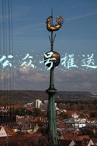 公众号推送