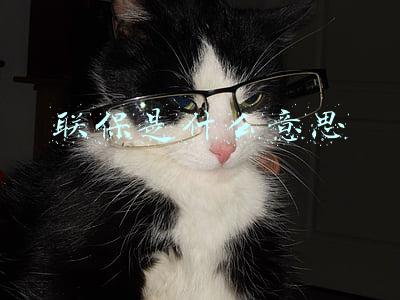 笔记本全国联保是什么意思(笔记本保修调查——机械革命售后有啥特色？)