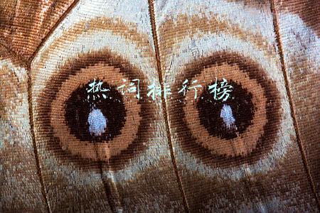 热词排行榜