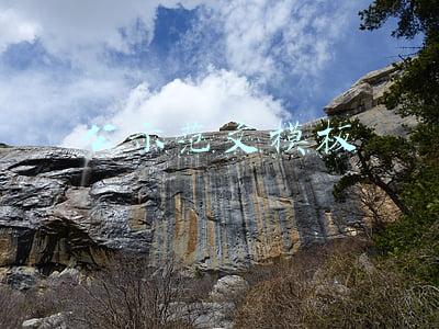 公示范文模板