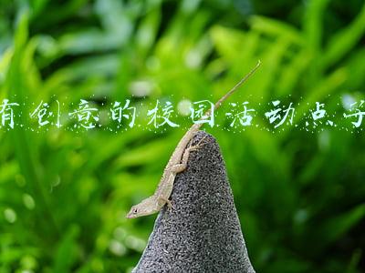 有创意的校园活动点子