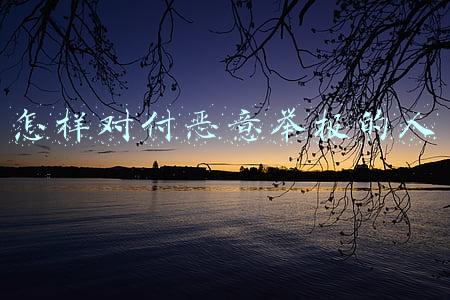 怎样对付恶意举报的人