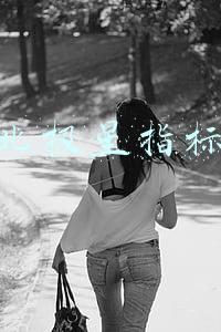 北极星指标