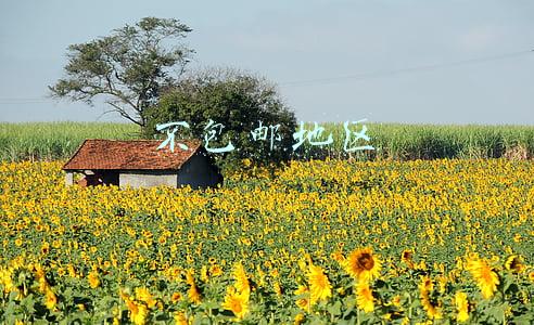 不包邮地区