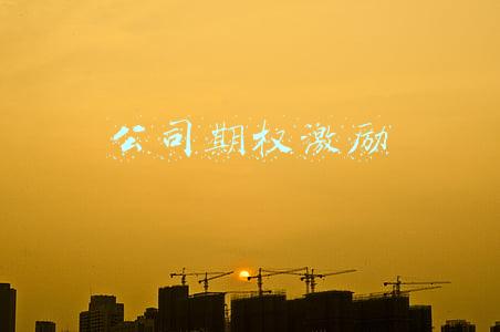 公司期权激励
