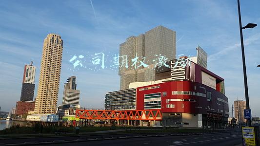 公司期权激励