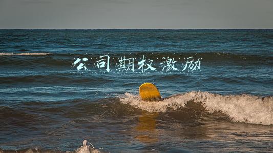 公司期权激励