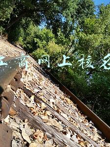 重庆工商网上核名系统