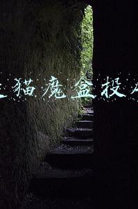 天猫魔盒投屏