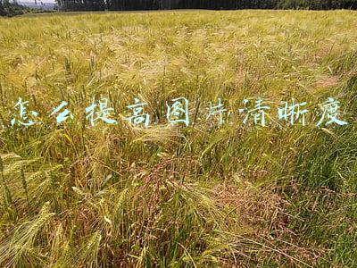 怎么提高图片清晰度