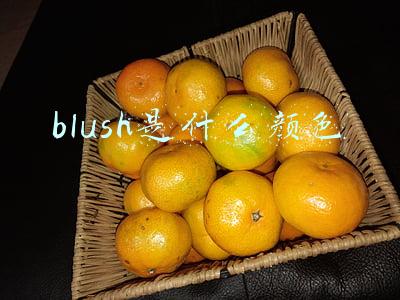 blush是什么颜色