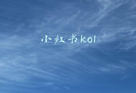 小红书kol