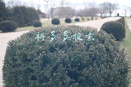 拼多多搜索