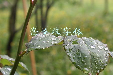 怎么改字体
