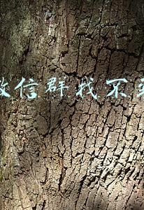 微信群找不到