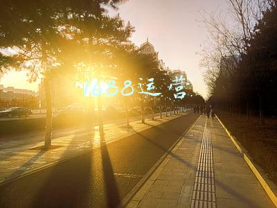 1688运营