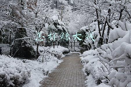 怎样赚大钱