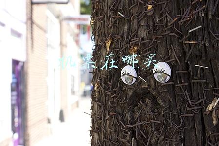 机票在哪买