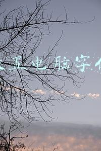 怎么设置电脑字体大小