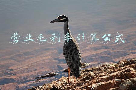 营业毛利率计算公式