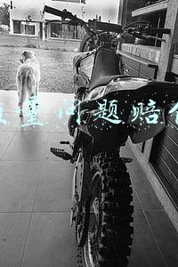 产品质量问题赔偿标准