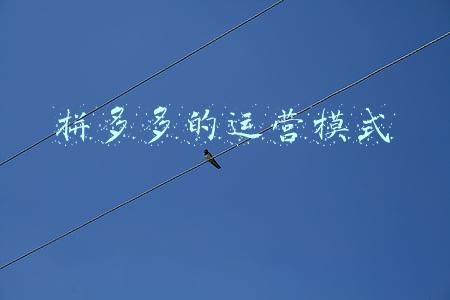 拼多多的运营模式