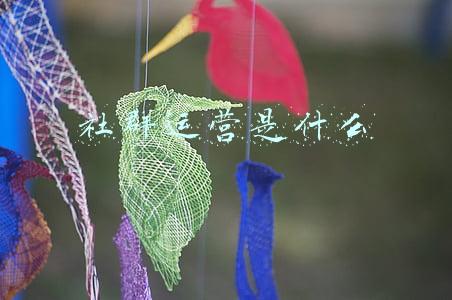 社群运营是什么