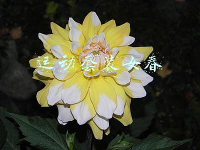运动套装女春