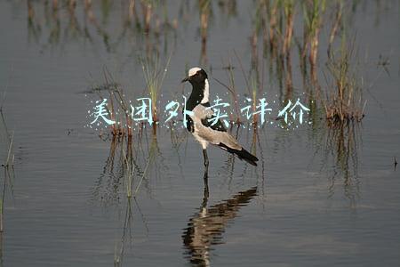 美团外卖评价