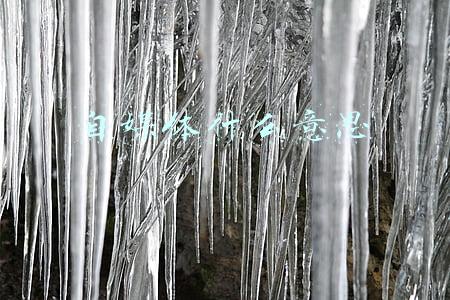 自媒体什么意思