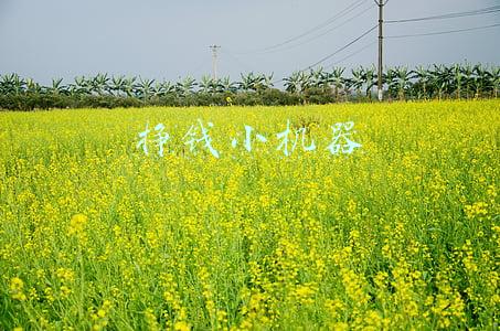 挣钱小机器