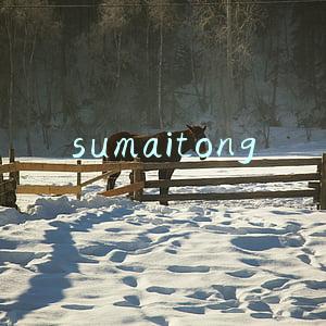 sumaitong