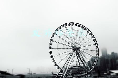 发布猫登录
