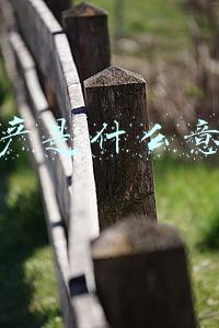 电商坑产是什么意思(黑号库：淘宝坑产是什么意思？刷坑产的目的是什么？)