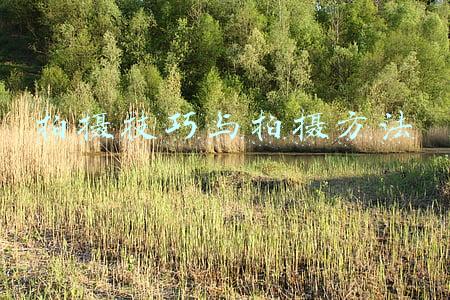 拍摄技巧与拍摄方法